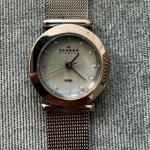 Skagen Blue Mother of Pearl Ladies watch.  Perfect working order.